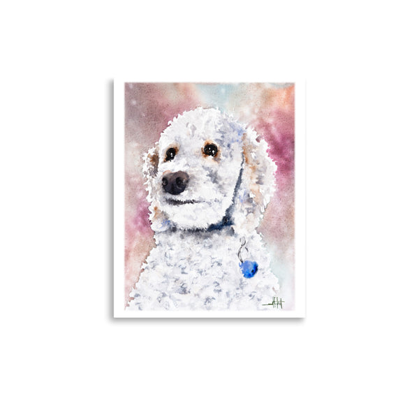 Sadie *Fine Art Prints!