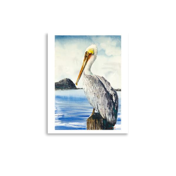 Harold *Fine Art Print!