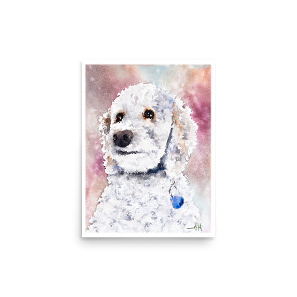 Sadie *Fine Art Prints!