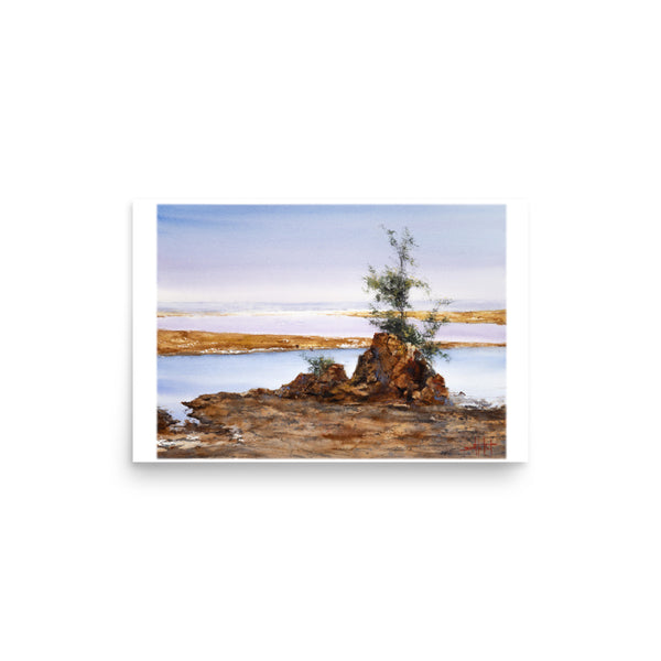Taft Coastal *Fine Art Print!