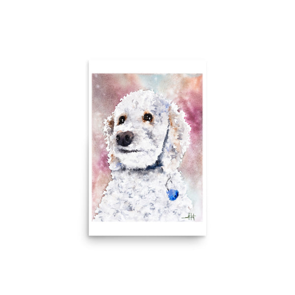 Sadie *Fine Art Prints!
