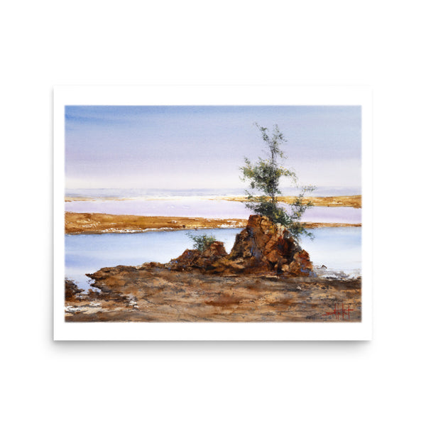 Taft Coastal *Fine Art Print!