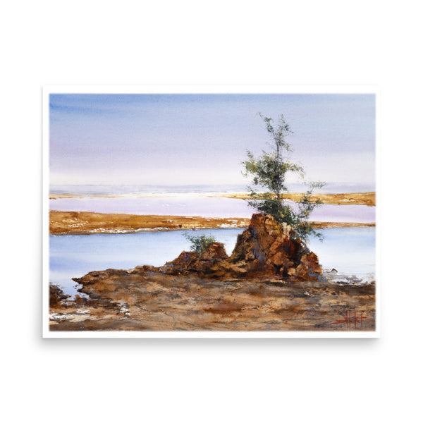 Taft Coastal *Fine Art Print!