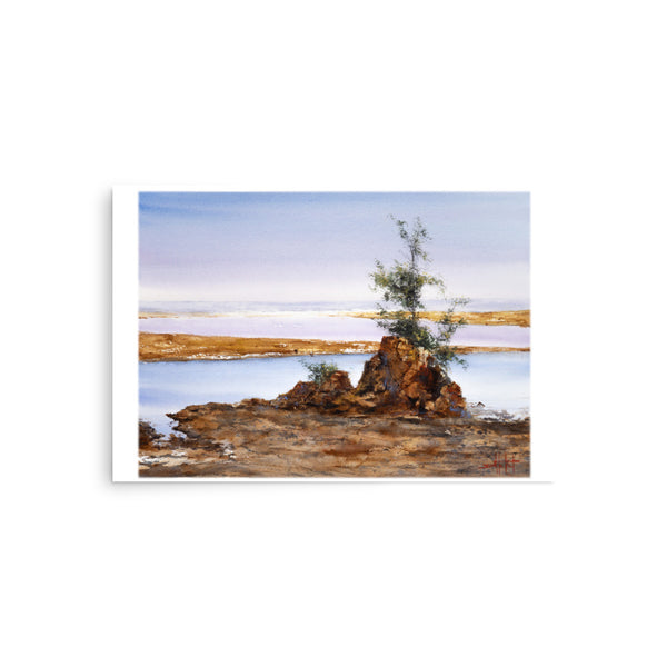Taft Coastal *Fine Art Print!