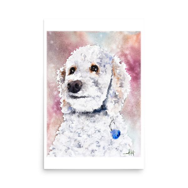 Sadie *Fine Art Prints!