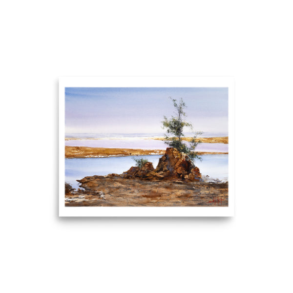 Taft Coastal *Fine Art Print!