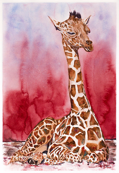 The Big Chill *Fine Art Prints