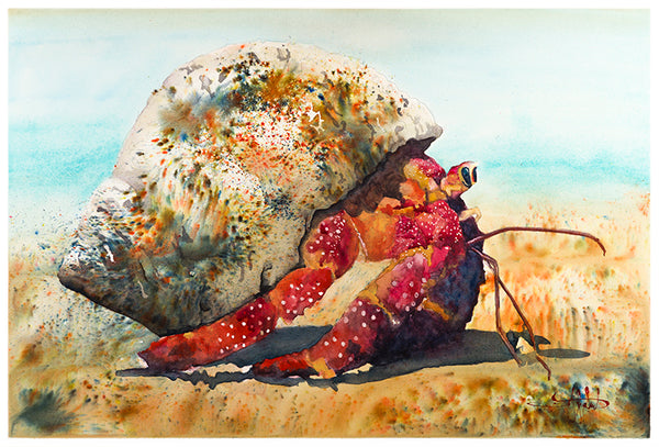 Crabby One *Fine Art Prints