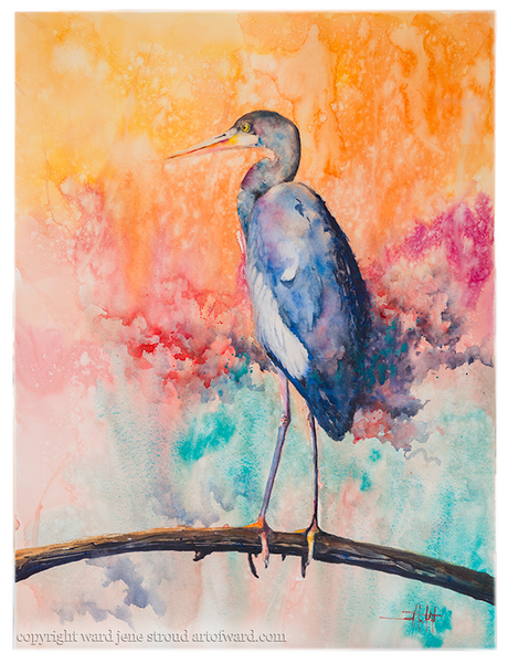 Out on a Limb *Fine Art Prints