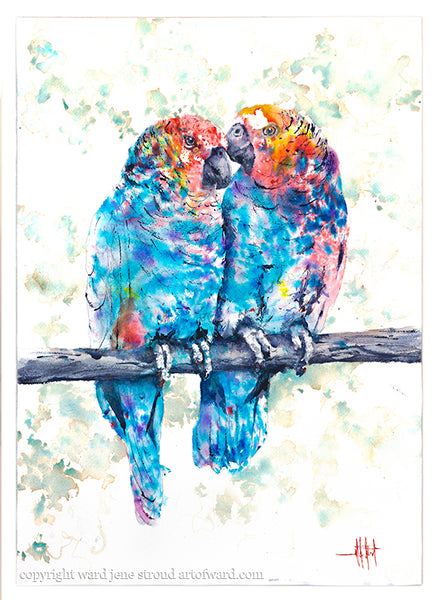 Pair-a-Parrots *Fine Art Prints