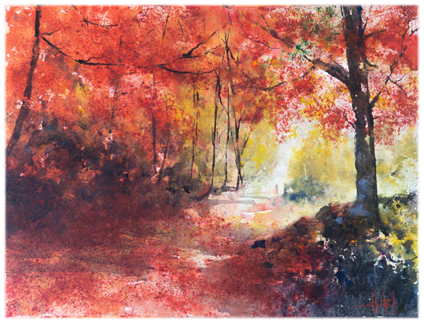 Into the Light *Fine Art Prints!