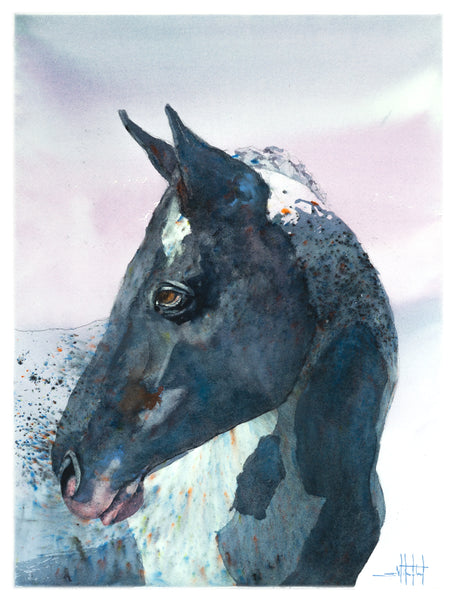 Mr. Brusho *Fine Art Prints!
