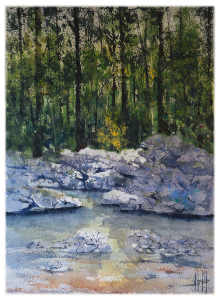 Shining Through *Fine Art Prints!