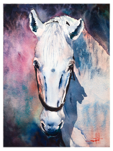 AR's White Mare *Fine Art Prints