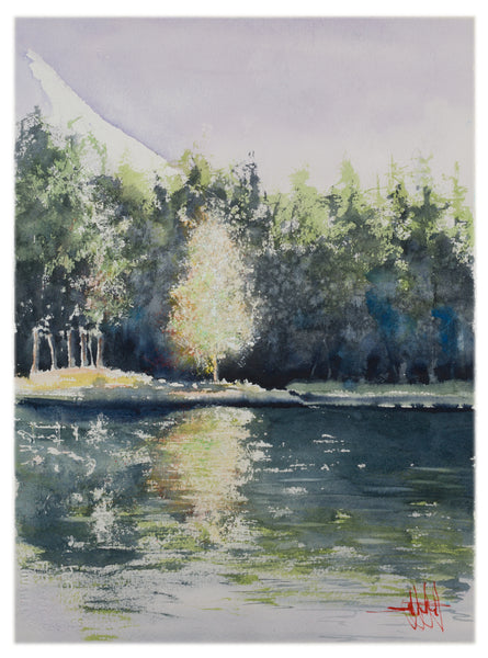 A Shinning Moment *Fine Art Prints