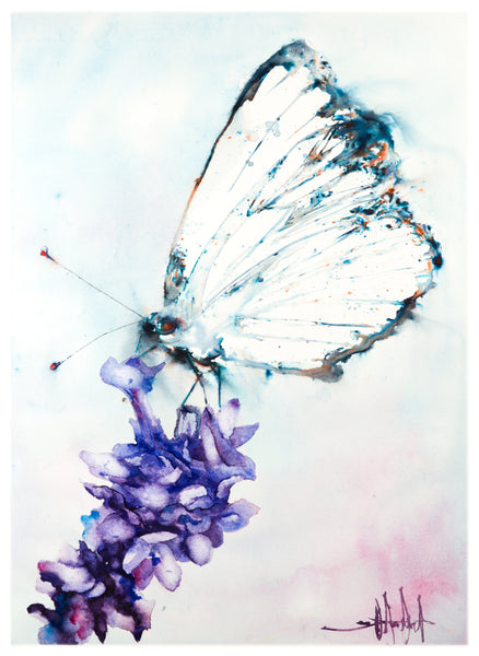 Beebee's Butterfly *Fine Art Prints