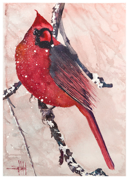 Cardinal of Maine *Fine Art Prints