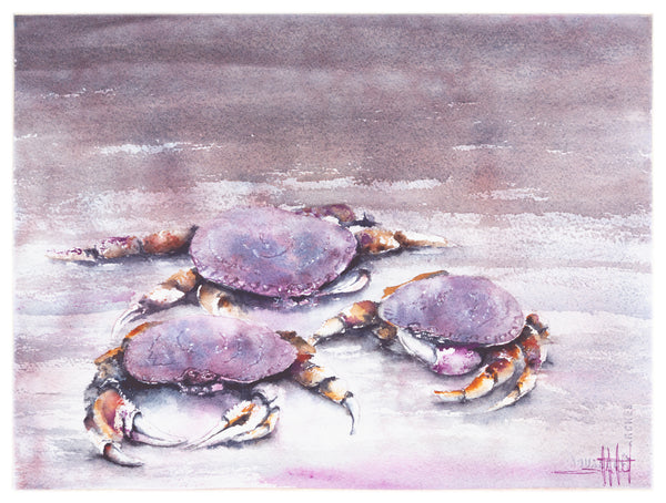 Cast of Crabs *Fine Art Prints
