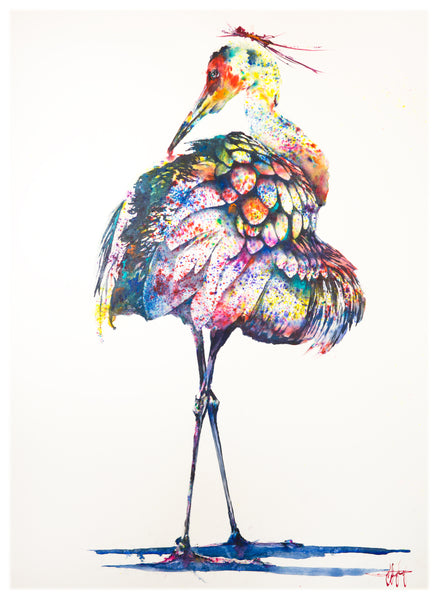 Coat of Many Colors *Fine Art Prints