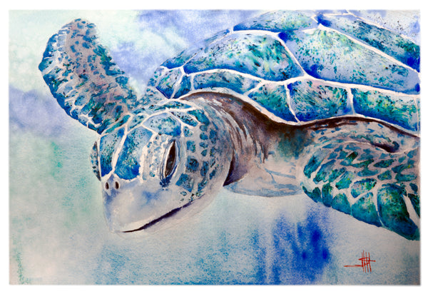 Cool Breeze *Fine Art Prints
