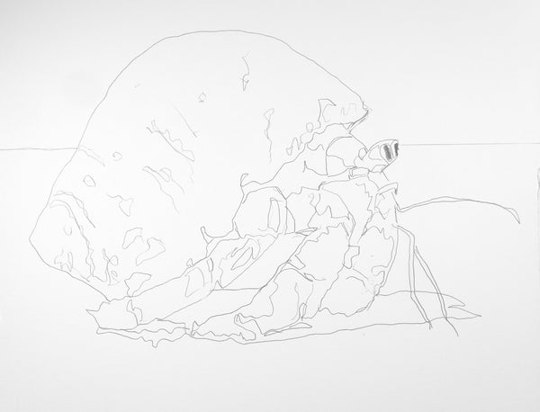 Free download! Line Drawing of the Brusho and Beyond Instructional Video "Crabby" and supply list