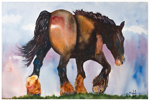 Knows The Way Home *Fine Art Prints