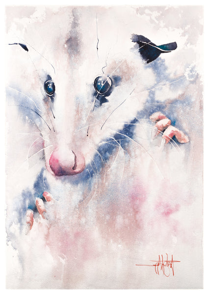 Litte Lady *Fine Art Prints