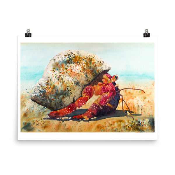 Crabby One *Fine Art Prints