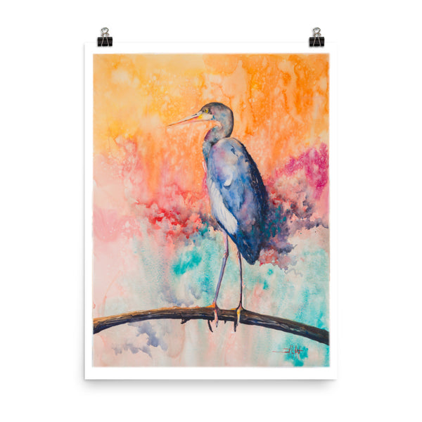 Out on a Limb *Fine Art Prints