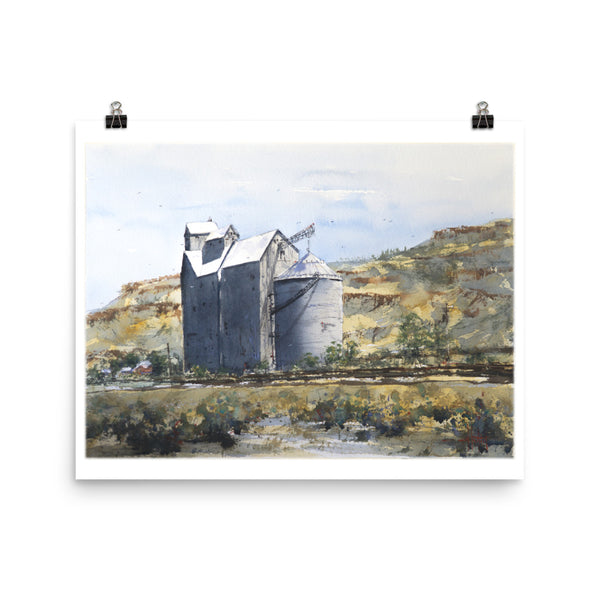 Rufus in the Gorge *Fine Art Prints!