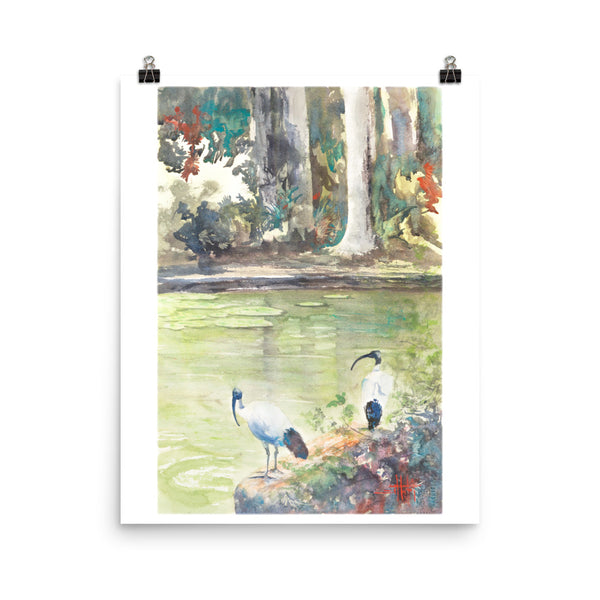 Corner of the Pond *Fine Art Prints