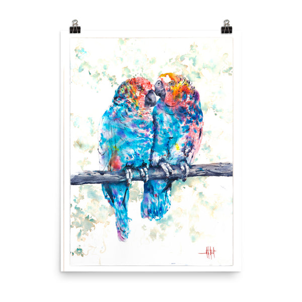 Pair-a-Parrots *Fine Art Prints