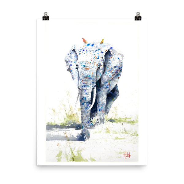 The Great 163 *Fine Art Prints!