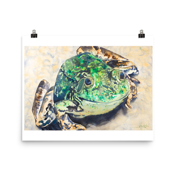 Meghann's Frog *Fine Art Prints