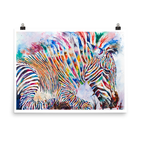 Fruity Zebra *Fine Art Prints
