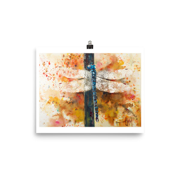 Wings of Light *Fine Art Prints