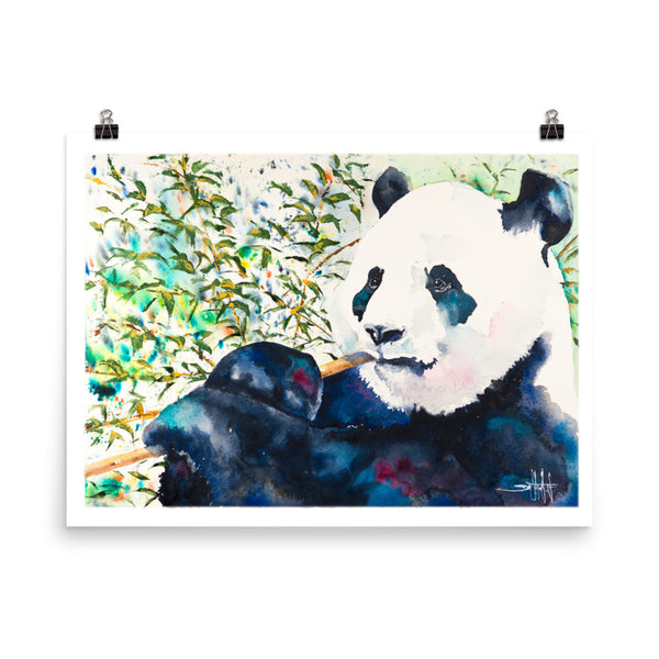 A-Mandamonium *Fine Art Prints