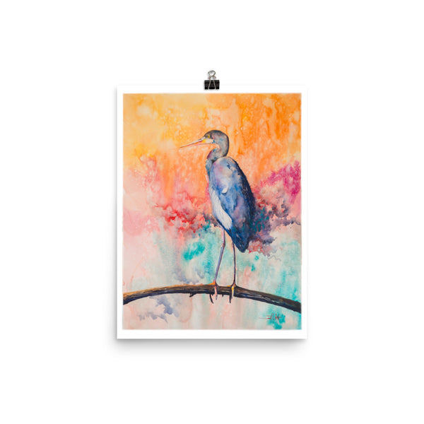 Out on a Limb *Fine Art Prints