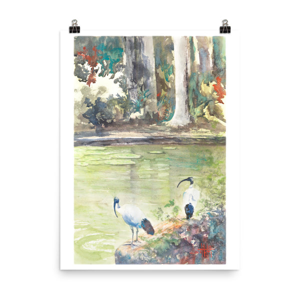 Corner of the Pond *Fine Art Prints