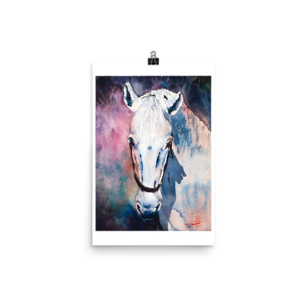 AR's White Mare *Fine Art Prints