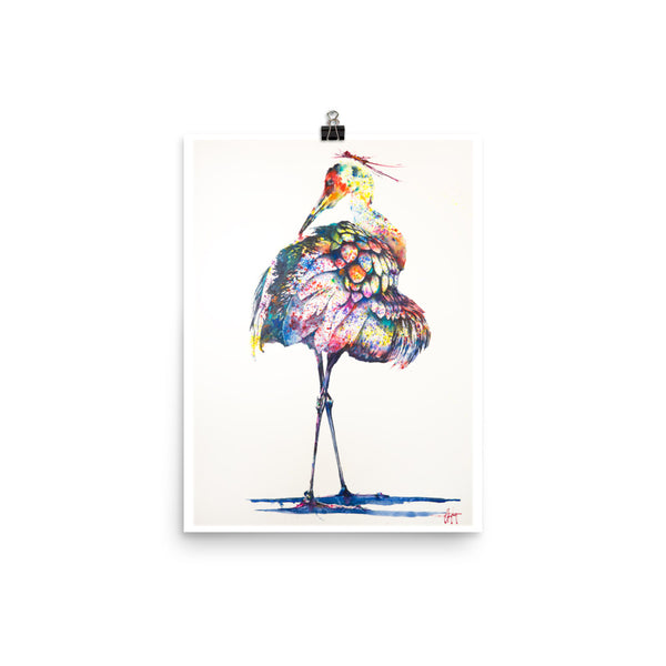 Coat of Many Colors *Fine Art Prints