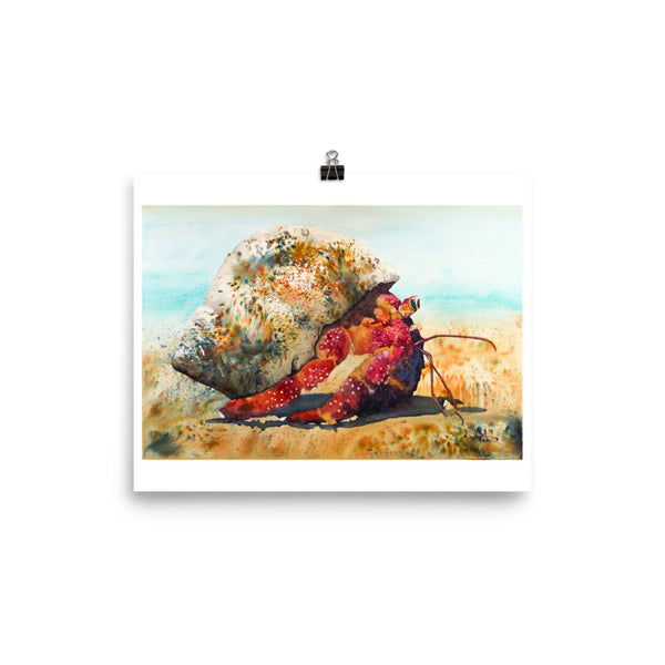 Crabby One *Fine Art Prints