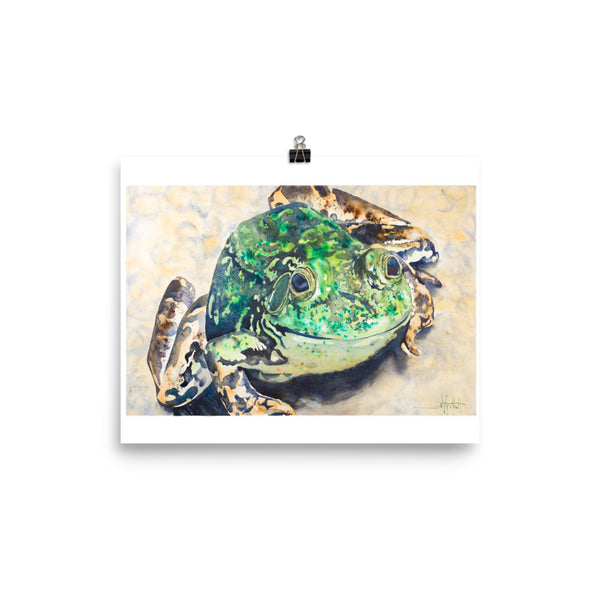 Meghann's Frog *Fine Art Prints