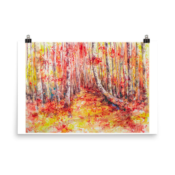 A Path to Sheffield *Fine Art Prints!