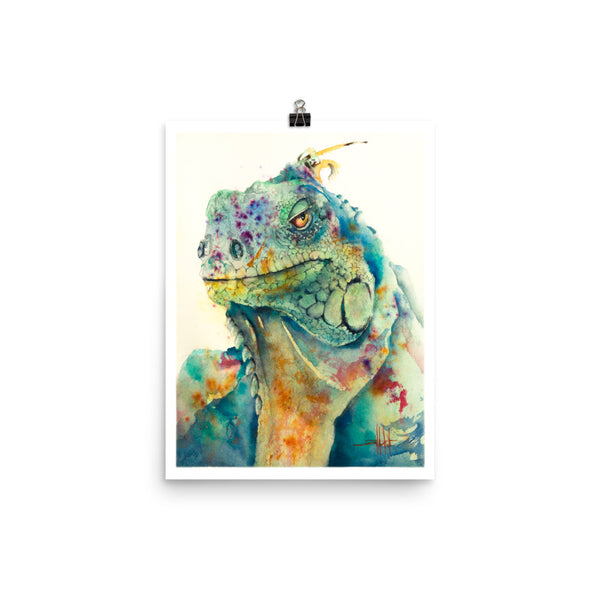 Ziggy *Fine Art Prints