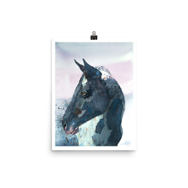 Mr. Brusho *Fine Art Prints!