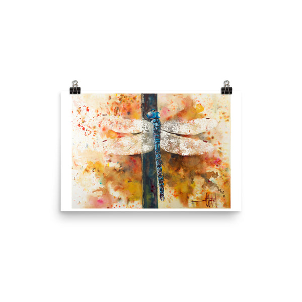 Wings of Light *Fine Art Prints