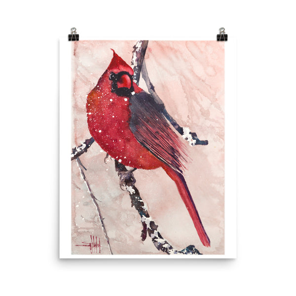 Cardinal of Maine *Fine Art Prints