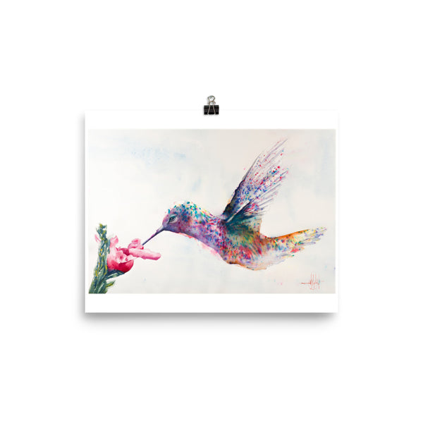 Hummingbird of Hope *Fine Art Prints
