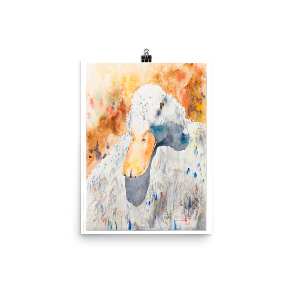 Dazzling Duck *Fine Art Prints